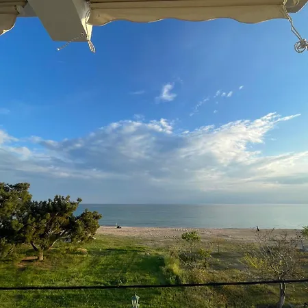 Alia Mare Apartment